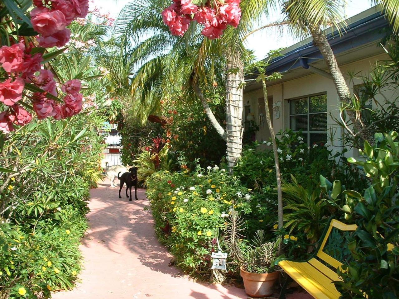 Affordable Beach Condos - One Bedroom Dlx Condos St. Pete Beach Exterior photo