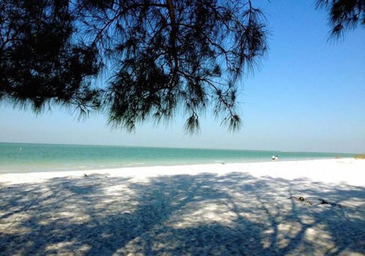 Affordable Beach Condos - One Bedroom Dlx Condos St. Pete Beach Exterior photo